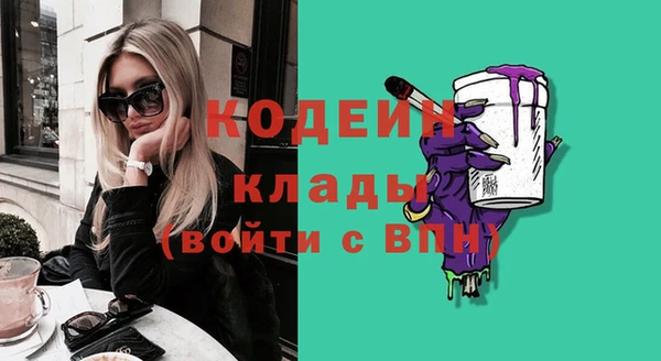 ECSTASY Алзамай