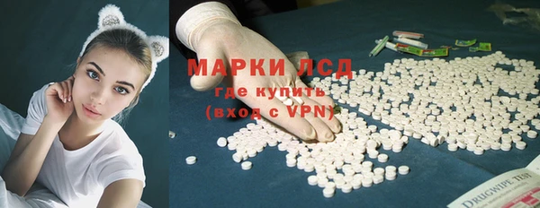 ECSTASY Алзамай