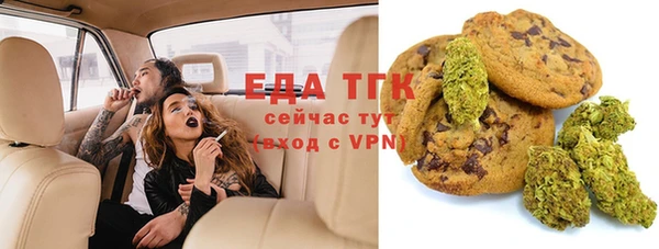 ECSTASY Алзамай